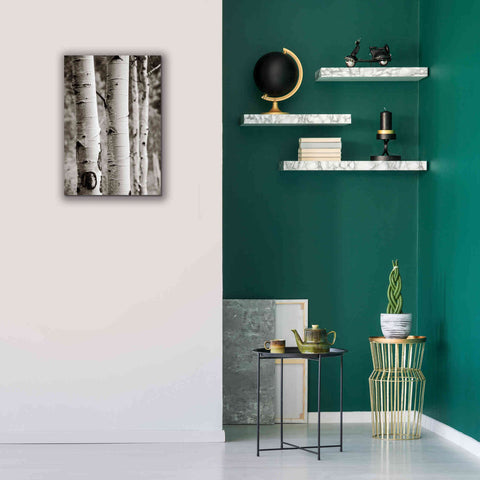 Image of 'Aspens I' by Debra Van Swearingen, Canvas Wall Art,18 x 26