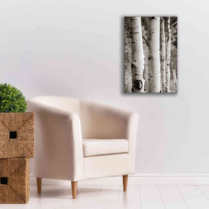 'Aspens I' by Debra Van Swearingen, Canvas Wall Art,18 x 26