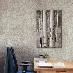 'Aspens II' by Debra Van Swearingen, Canvas Wall Art,26 x 40