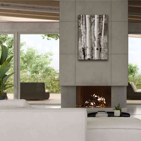 Image of 'Aspens II' by Debra Van Swearingen, Canvas Wall Art,26 x 40