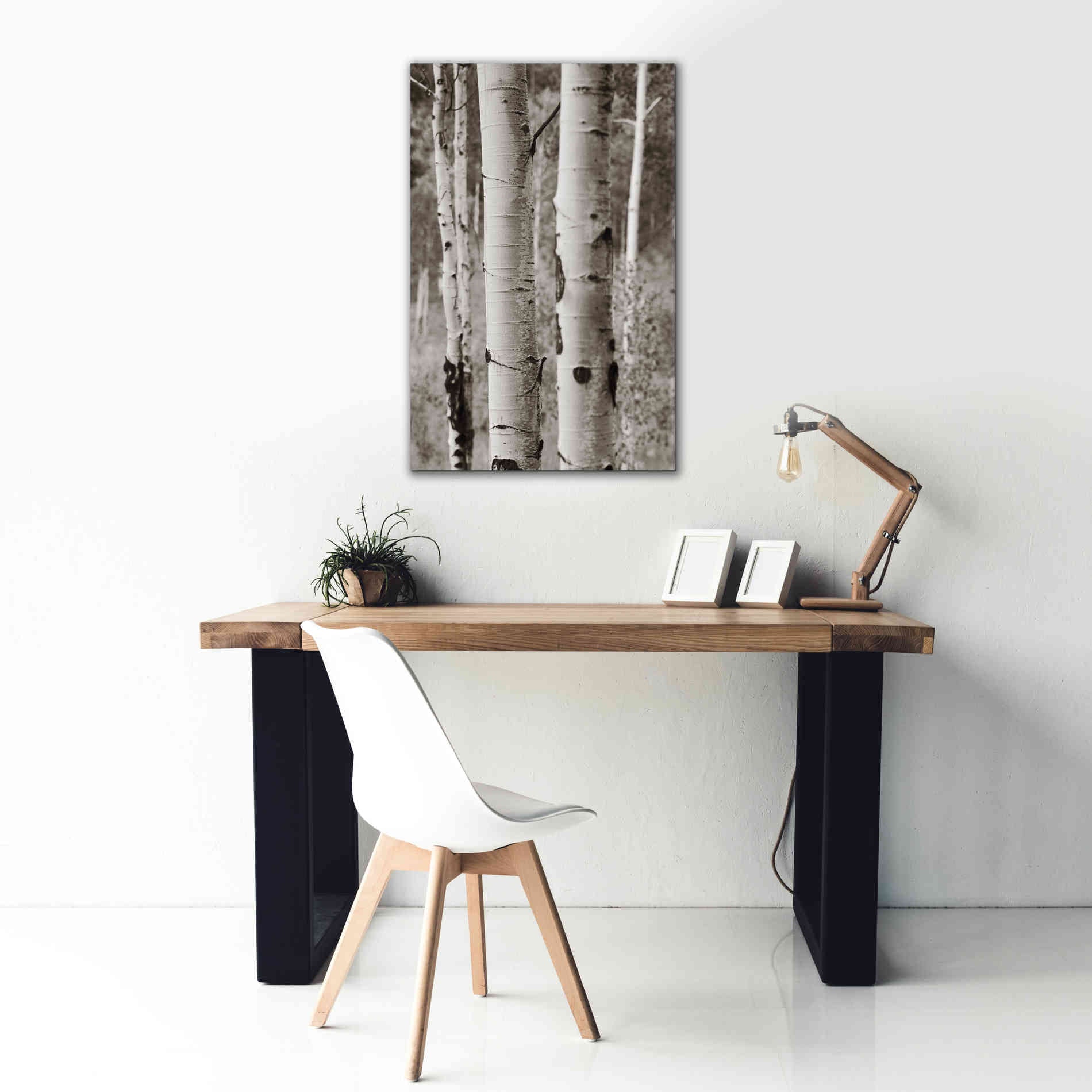 'Aspens II' by Debra Van Swearingen, Canvas Wall Art,26 x 40