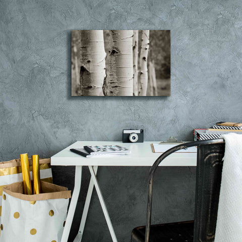 Image of 'Aspens III' by Debra Van Swearingen, Canvas Wall Art,18 x 12
