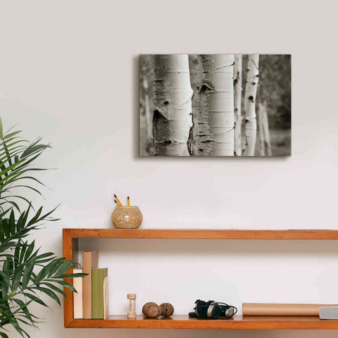 Image of 'Aspens III' by Debra Van Swearingen, Canvas Wall Art,18 x 12