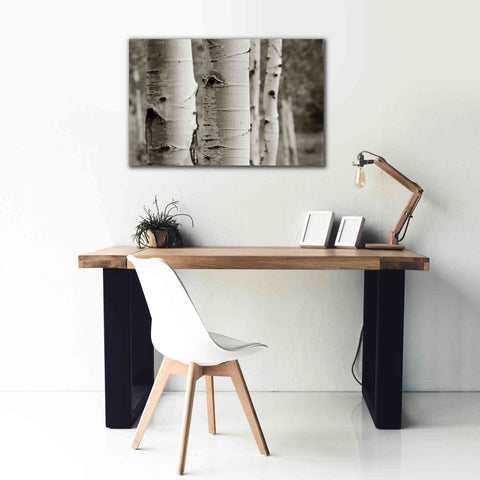Image of 'Aspens III' by Debra Van Swearingen, Canvas Wall Art,40 x 26