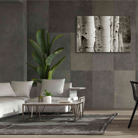 Image of 'Aspens III' by Debra Van Swearingen, Canvas Wall Art,60 x 40