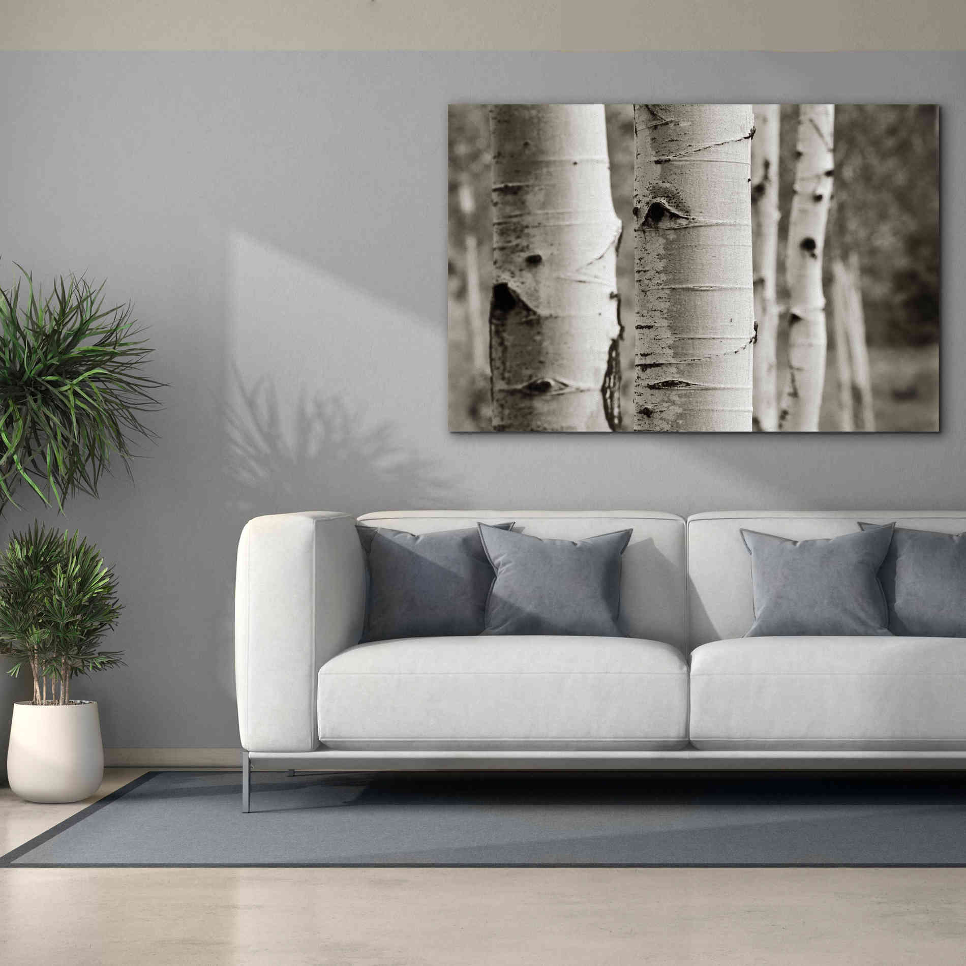 'Aspens III' by Debra Van Swearingen, Canvas Wall Art,60 x 40