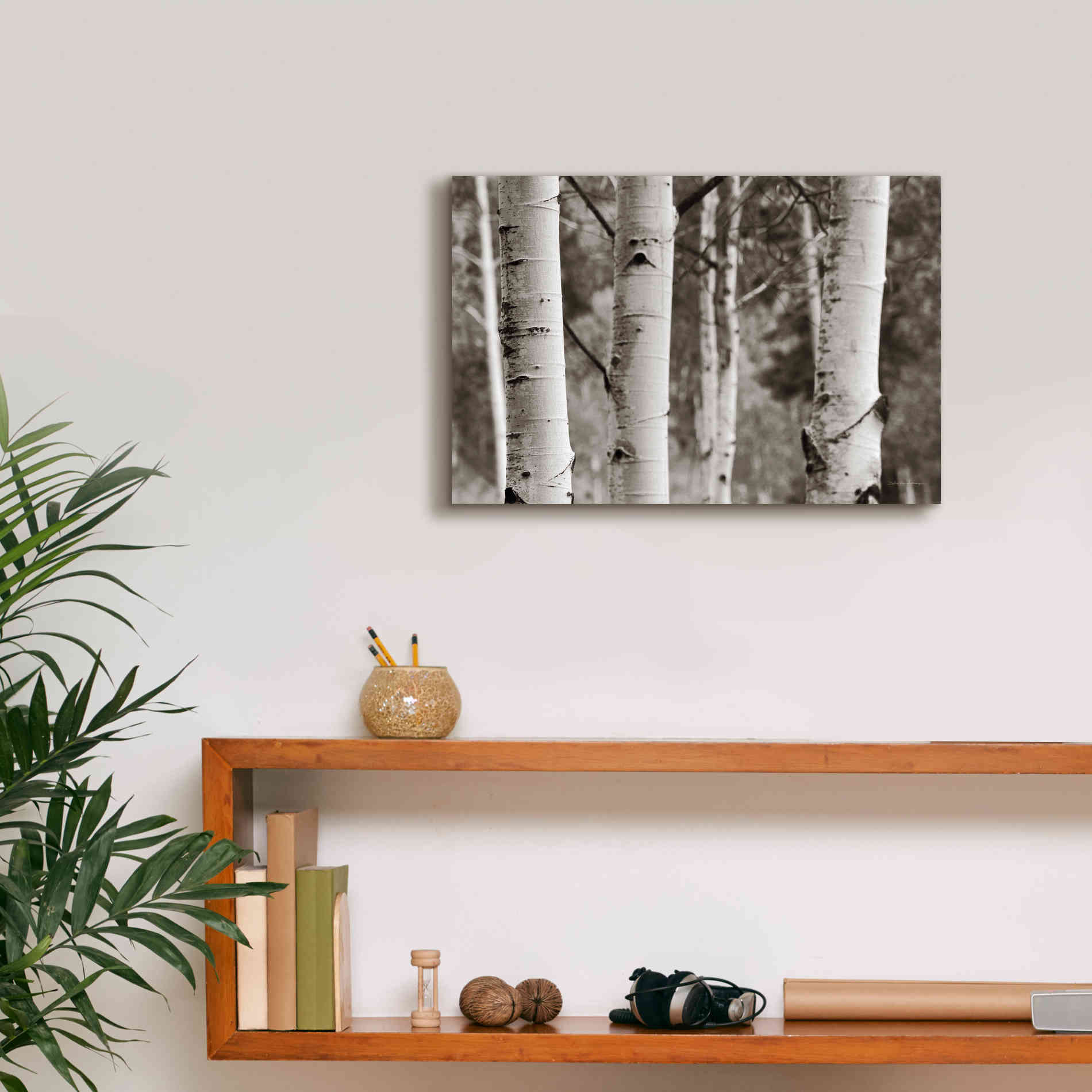 'Aspens IV' by Debra Van Swearingen, Canvas Wall Art,18 x 12