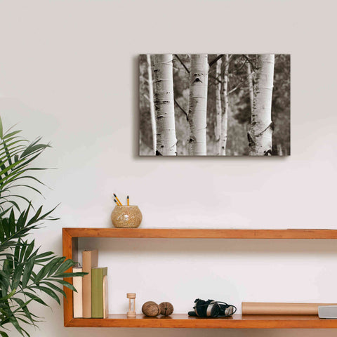 Image of 'Aspens IV' by Debra Van Swearingen, Canvas Wall Art,18 x 12