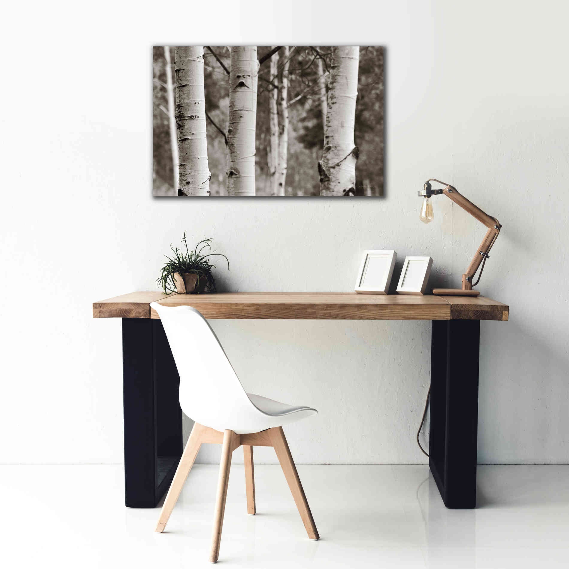'Aspens IV' by Debra Van Swearingen, Canvas Wall Art,40 x 26