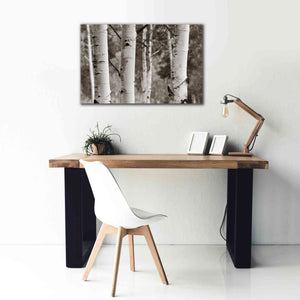 'Aspens IV' by Debra Van Swearingen, Canvas Wall Art,40 x 26
