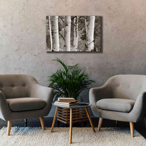 'Aspens IV' by Debra Van Swearingen, Canvas Wall Art,40 x 26