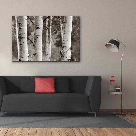 Image of 'Aspens IV' by Debra Van Swearingen, Canvas Wall Art,60 x 40
