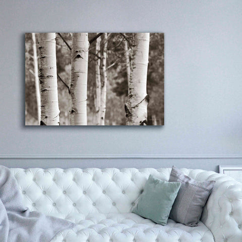 Image of 'Aspens IV' by Debra Van Swearingen, Canvas Wall Art,60 x 40