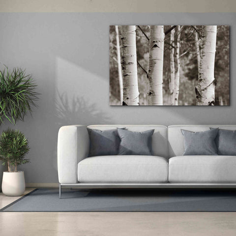 Image of 'Aspens IV' by Debra Van Swearingen, Canvas Wall Art,60 x 40