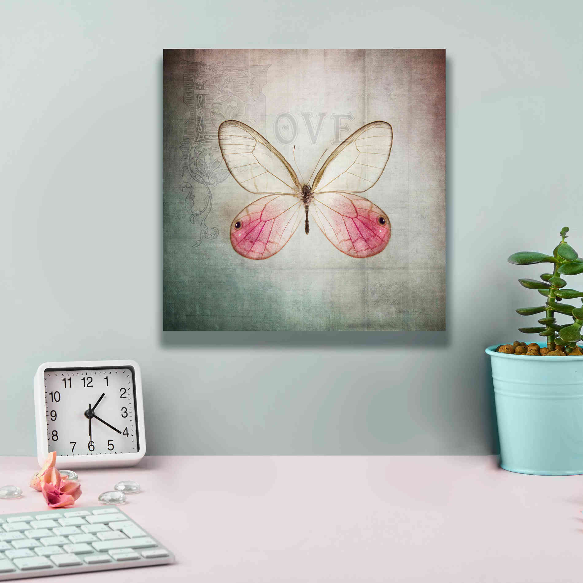 'French Butterfly I' by Debra Van Swearingen, Canvas Wall Art,12 x 12