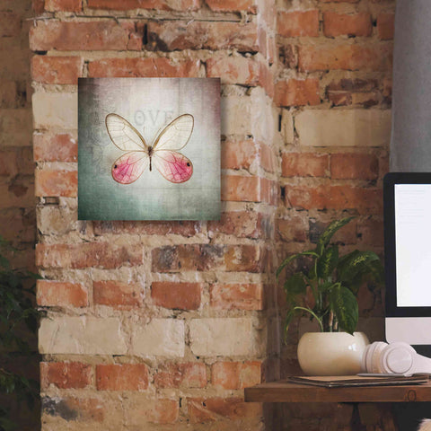 Image of 'French Butterfly I' by Debra Van Swearingen, Canvas Wall Art,12 x 12