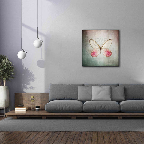 Image of 'French Butterfly I' by Debra Van Swearingen, Canvas Wall Art,37 x 37