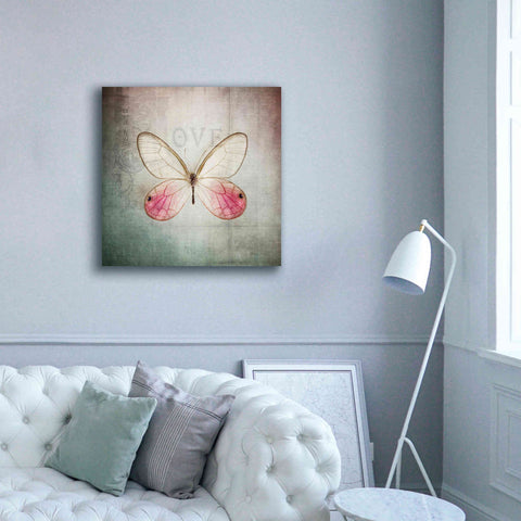 Image of 'French Butterfly I' by Debra Van Swearingen, Canvas Wall Art,37 x 37