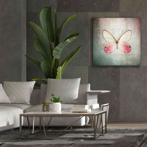 Image of 'French Butterfly I' by Debra Van Swearingen, Canvas Wall Art,37 x 37