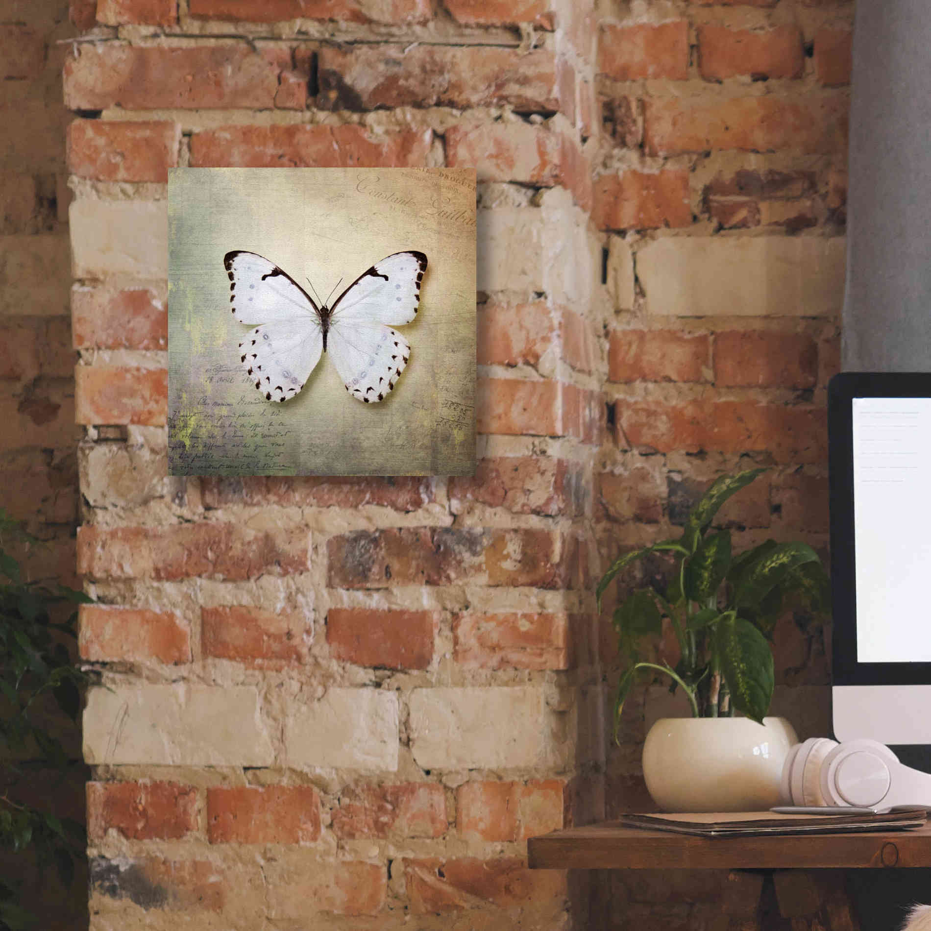 'French Butterfly II' by Debra Van Swearingen, Canvas Wall Art,12 x 12