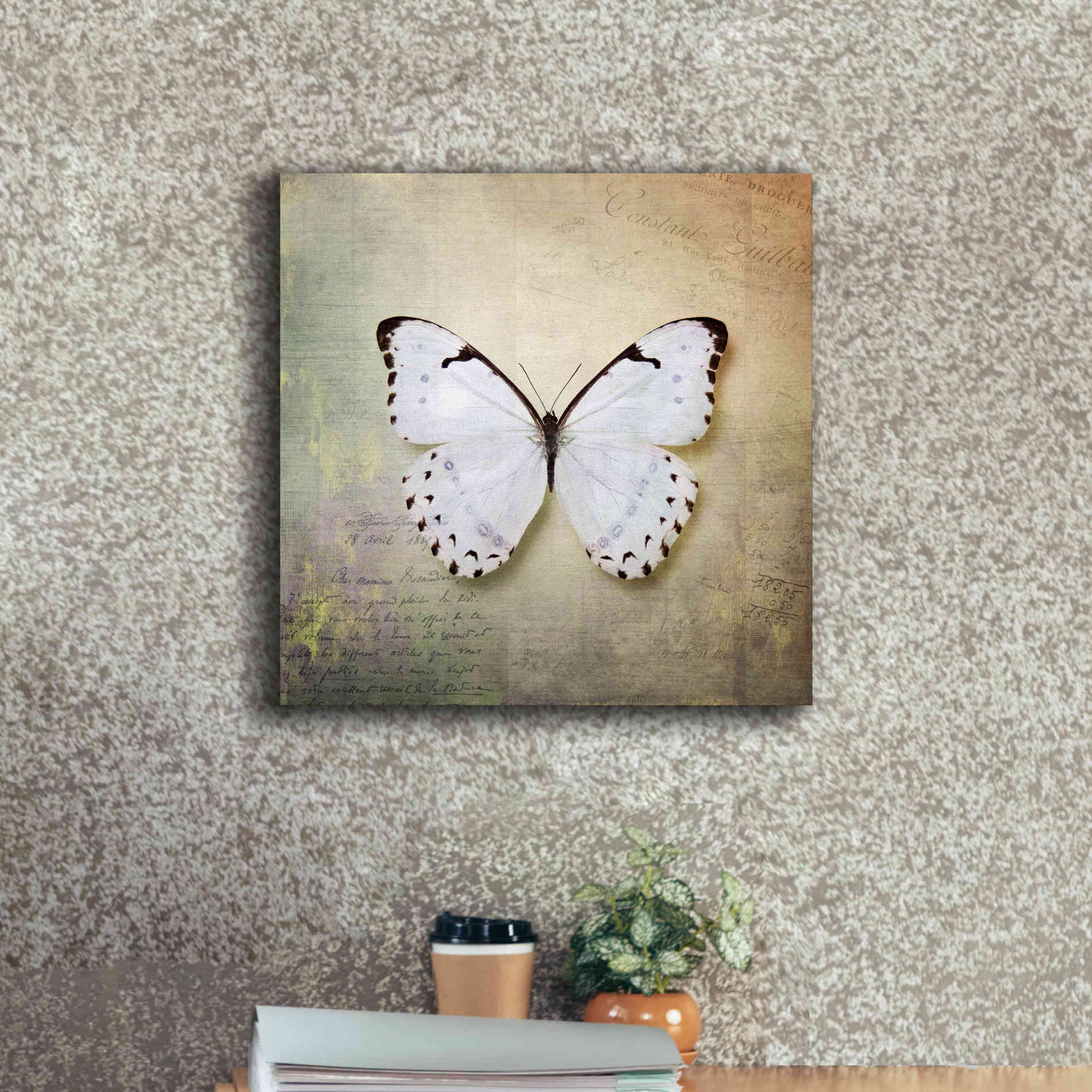 'French Butterfly II' by Debra Van Swearingen, Canvas Wall Art,18 x 18