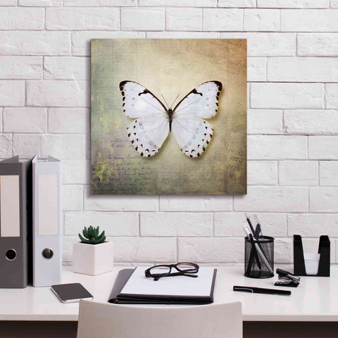 Image of 'French Butterfly II' by Debra Van Swearingen, Canvas Wall Art,18 x 18