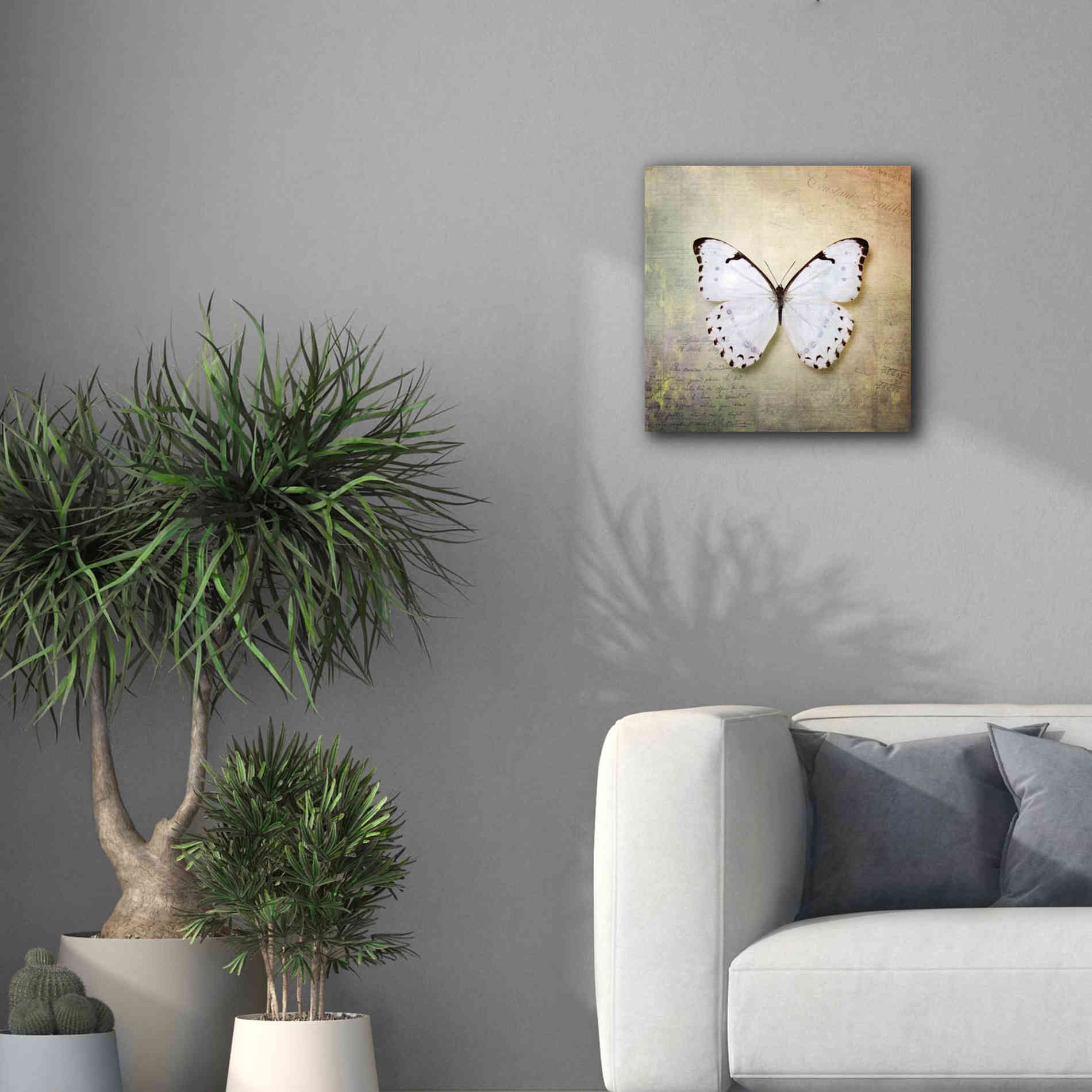 'French Butterfly II' by Debra Van Swearingen, Canvas Wall Art,18 x 18