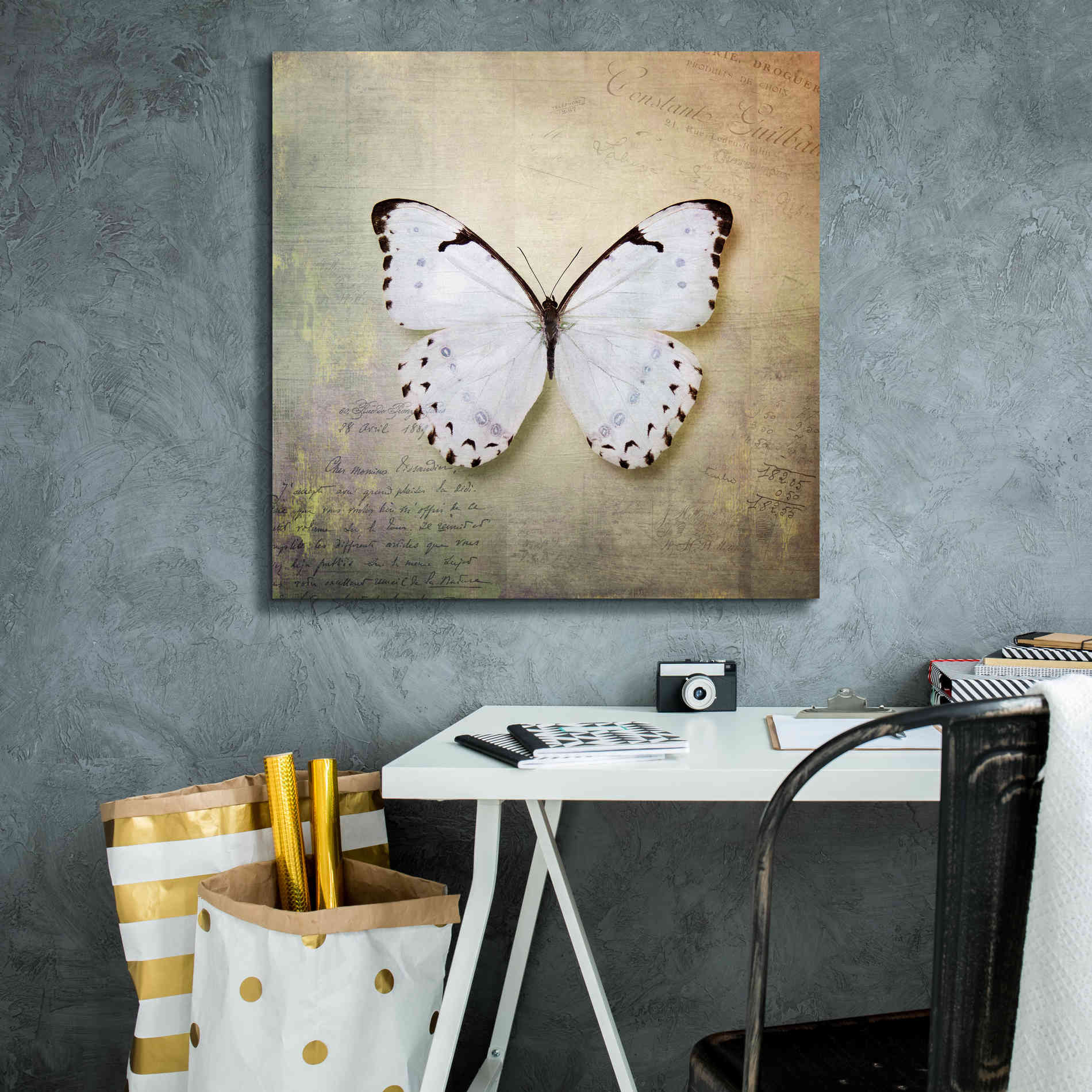 'French Butterfly II' by Debra Van Swearingen, Canvas Wall Art,26 x 26