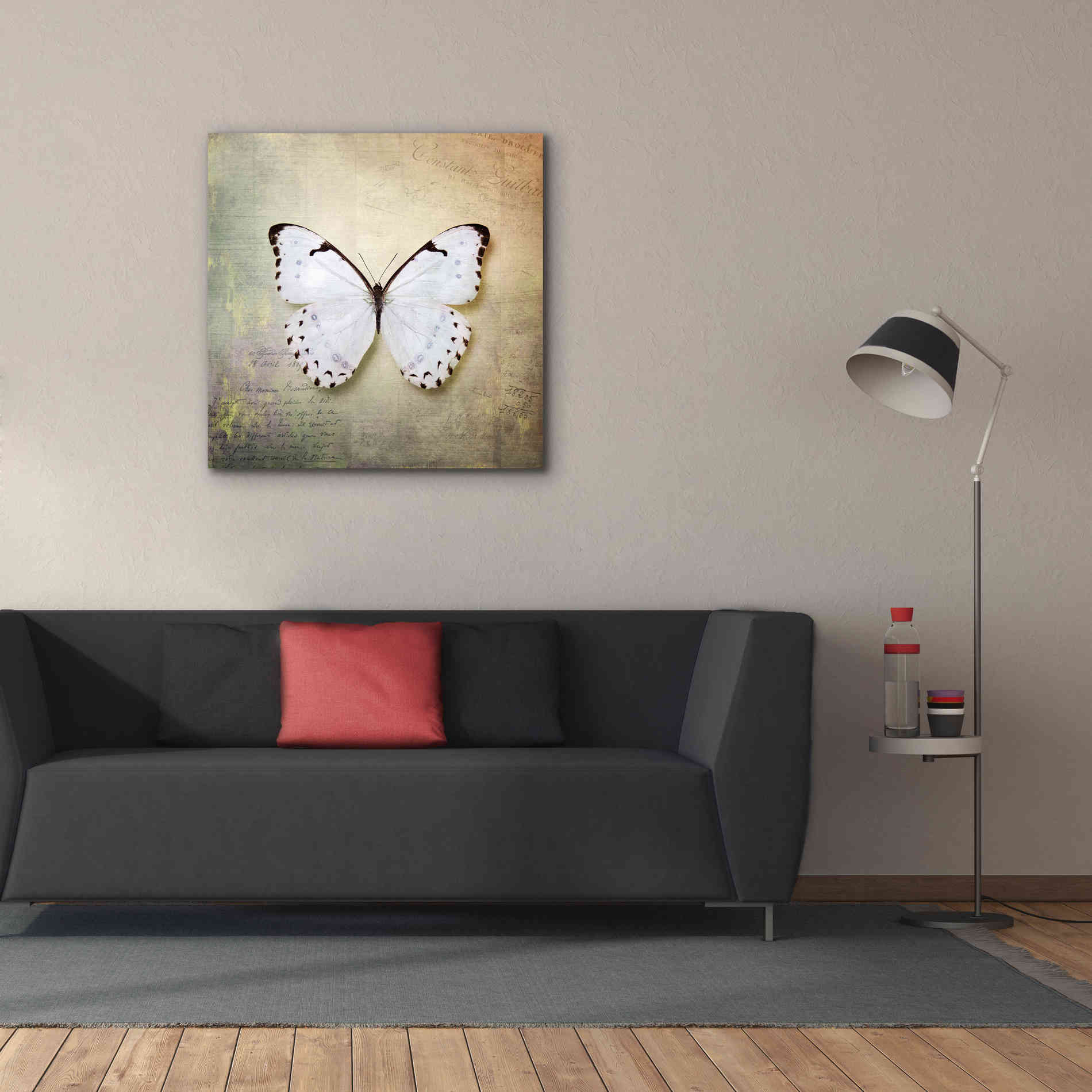 'French Butterfly II' by Debra Van Swearingen, Canvas Wall Art,37 x 37