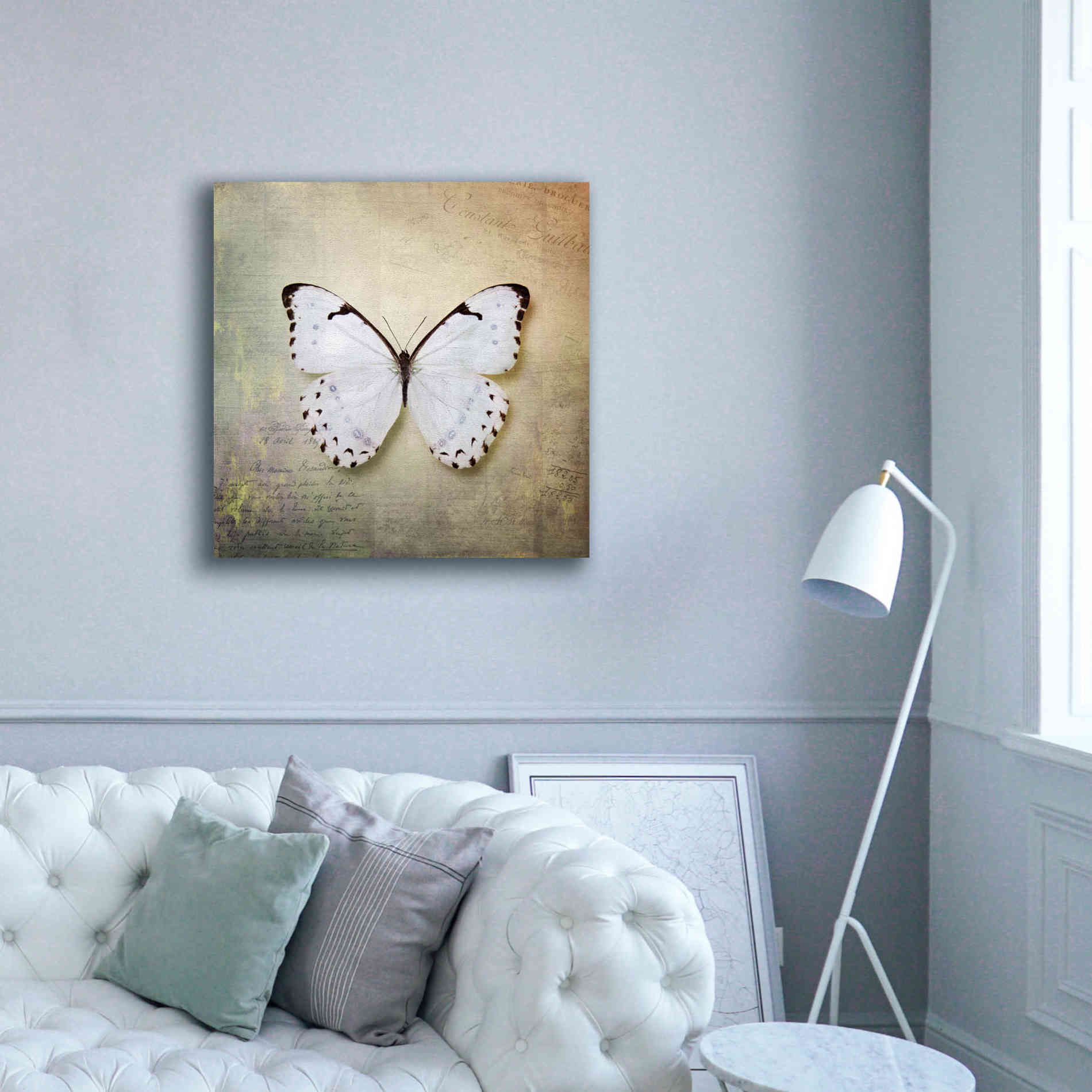 'French Butterfly II' by Debra Van Swearingen, Canvas Wall Art,37 x 37