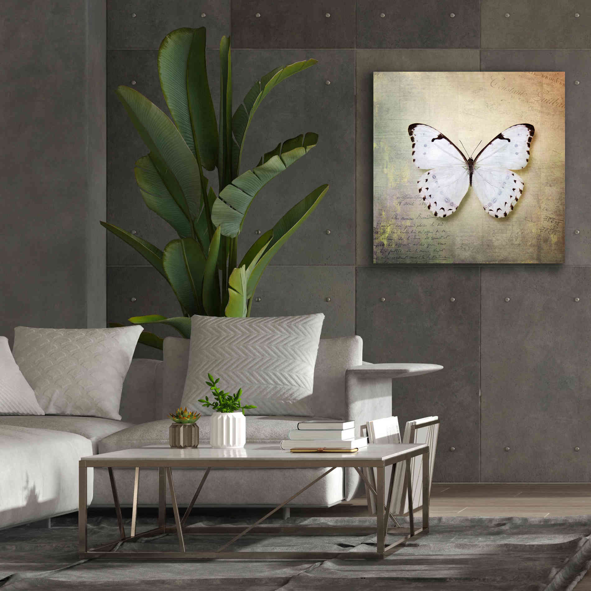 'French Butterfly II' by Debra Van Swearingen, Canvas Wall Art,37 x 37