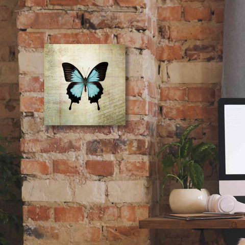 Image of 'French Butterfly III' by Debra Van Swearingen, Canvas Wall Art,12 x 12