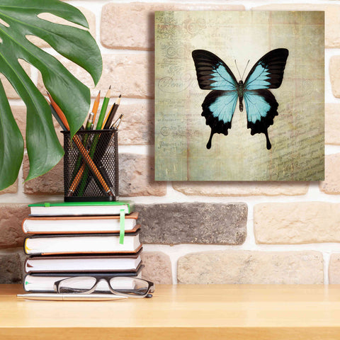 Image of 'French Butterfly III' by Debra Van Swearingen, Canvas Wall Art,12 x 12