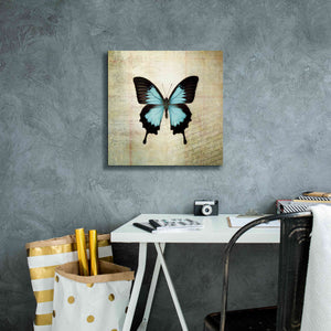 'French Butterfly III' by Debra Van Swearingen, Canvas Wall Art,18 x 18