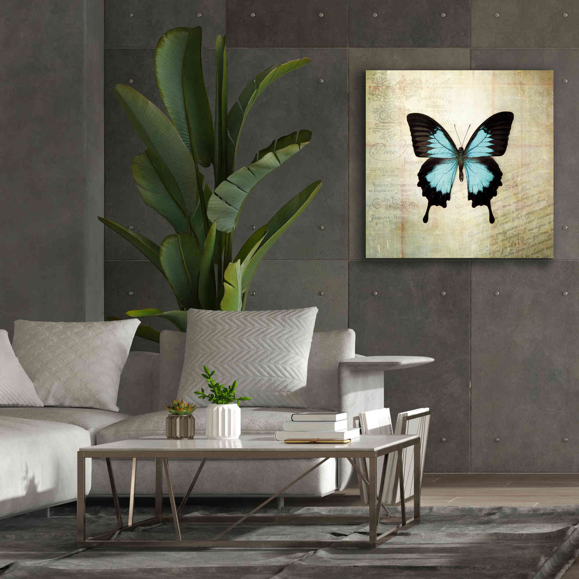 'French Butterfly III' by Debra Van Swearingen, Canvas Wall Art,37 x 37