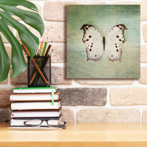 Image of 'French Butterfly IV' by Debra Van Swearingen, Canvas Wall Art,12 x 12
