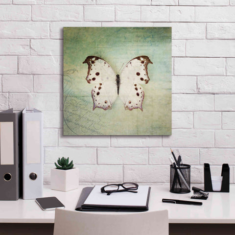 Image of 'French Butterfly IV' by Debra Van Swearingen, Canvas Wall Art,18 x 18