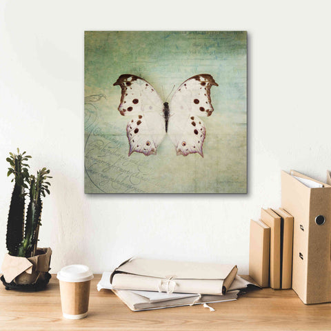 Image of 'French Butterfly IV' by Debra Van Swearingen, Canvas Wall Art,18 x 18