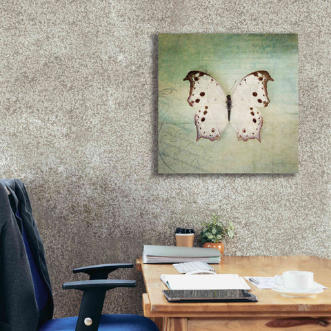 Image of 'French Butterfly IV' by Debra Van Swearingen, Canvas Wall Art,26 x 26