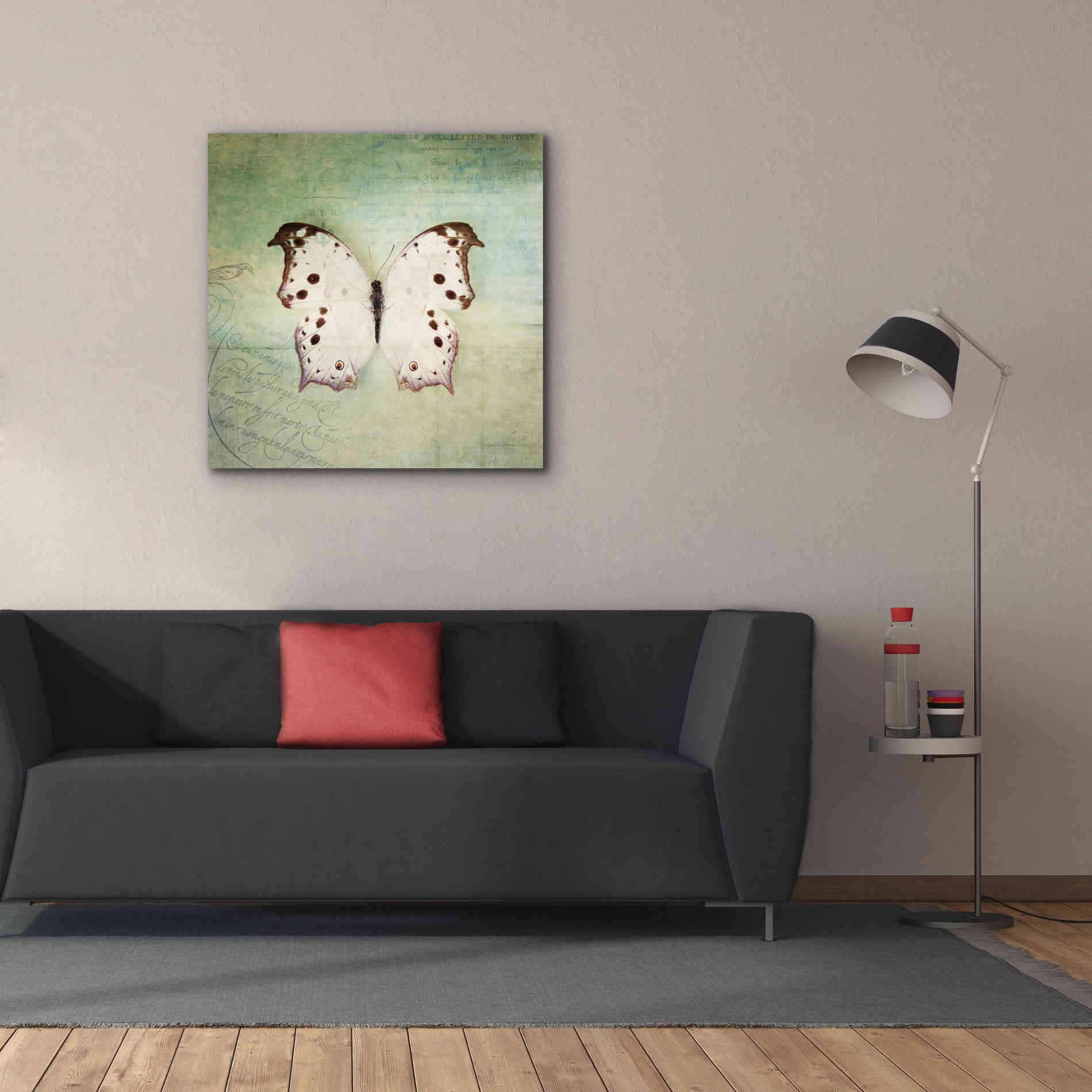'French Butterfly IV' by Debra Van Swearingen, Canvas Wall Art,37 x 37