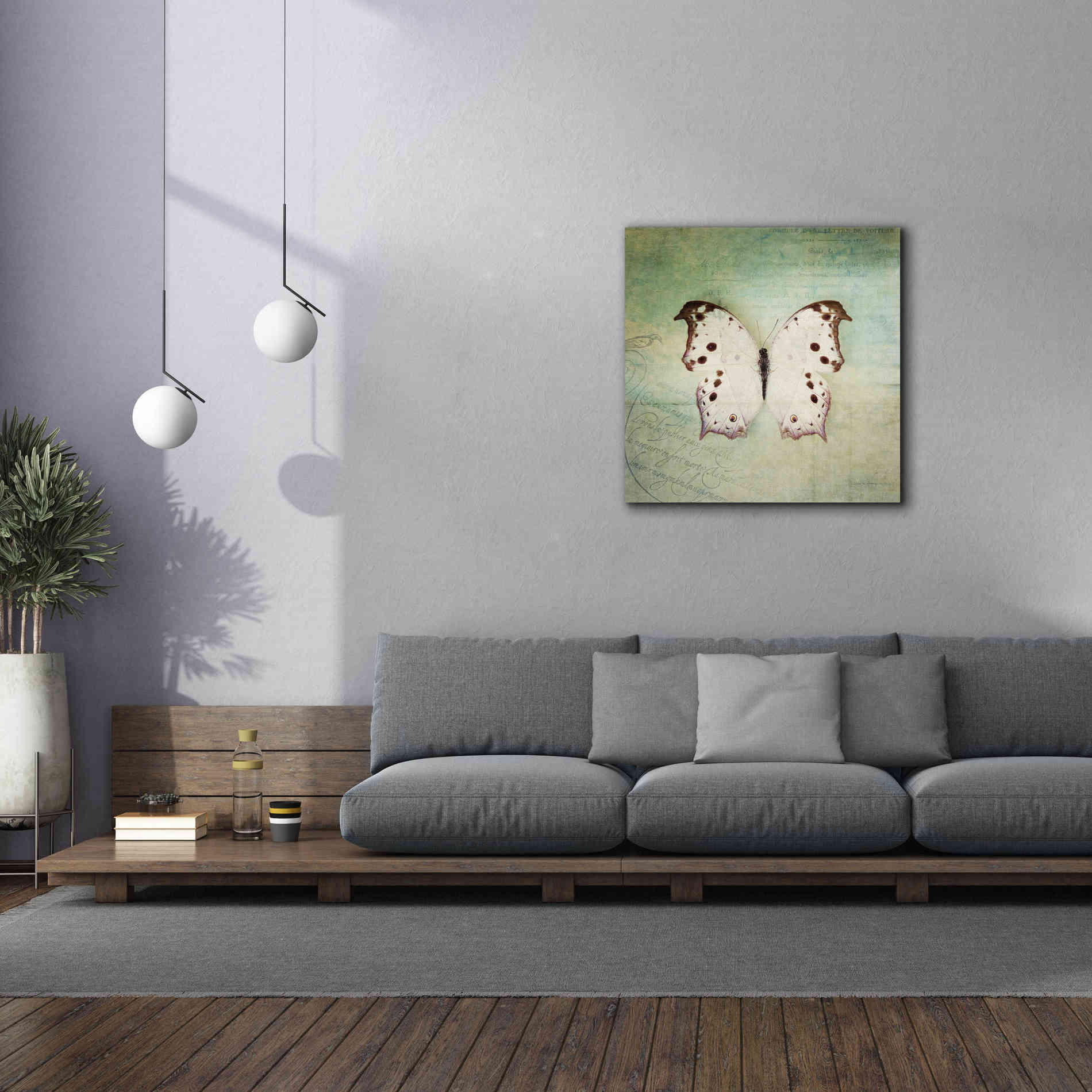 'French Butterfly IV' by Debra Van Swearingen, Canvas Wall Art,37 x 37