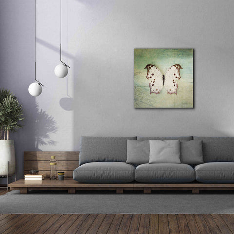 Image of 'French Butterfly IV' by Debra Van Swearingen, Canvas Wall Art,37 x 37