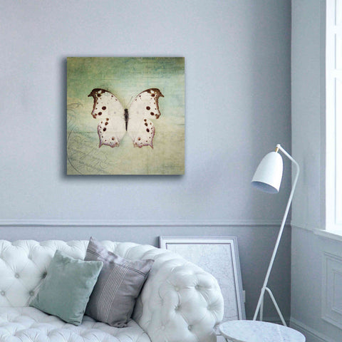 Image of 'French Butterfly IV' by Debra Van Swearingen, Canvas Wall Art,37 x 37
