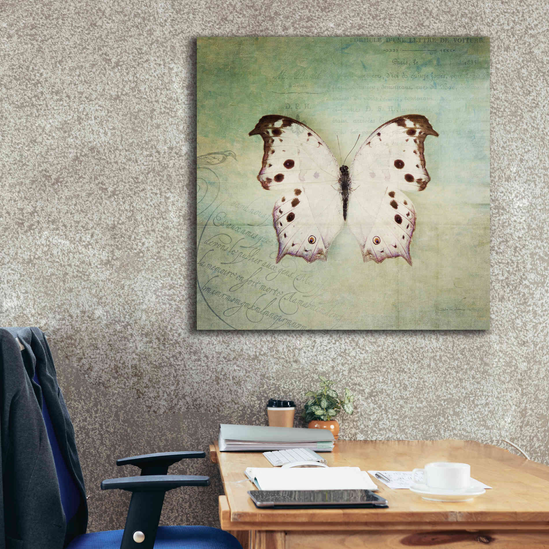 'French Butterfly IV' by Debra Van Swearingen, Canvas Wall Art,37 x 37