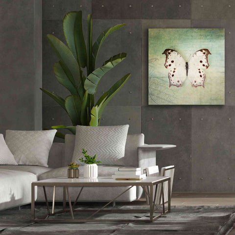 Image of 'French Butterfly IV' by Debra Van Swearingen, Canvas Wall Art,37 x 37
