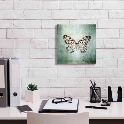 Image of 'French Butterfly V' by Debra Van Swearingen, Canvas Wall Art,12 x 12