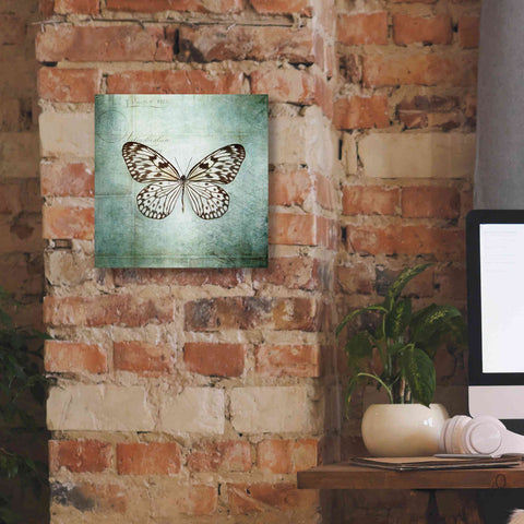 Image of 'French Butterfly V' by Debra Van Swearingen, Canvas Wall Art,12 x 12