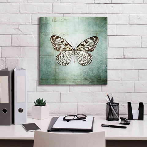 Image of 'French Butterfly V' by Debra Van Swearingen, Canvas Wall Art,18 x 18