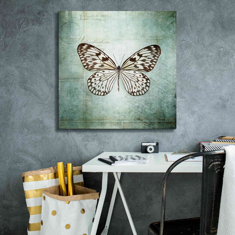 Image of 'French Butterfly V' by Debra Van Swearingen, Canvas Wall Art,26 x 26