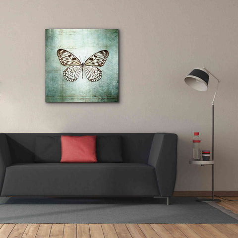 Image of 'French Butterfly V' by Debra Van Swearingen, Canvas Wall Art,37 x 37